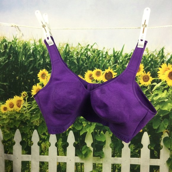 Cacique Other - Cacique Wireless Bra Purple 42D